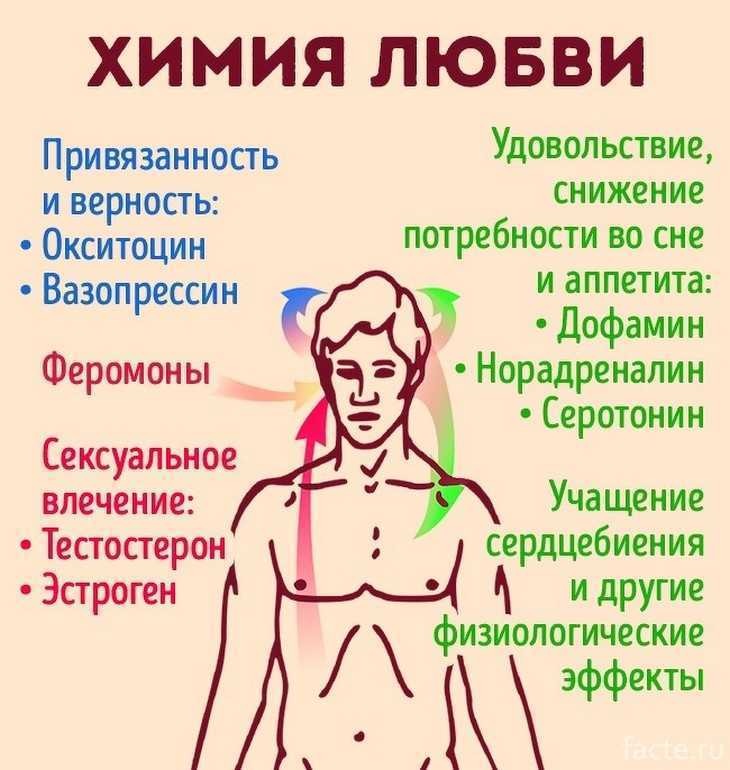 Почему к человеку тянет как магнитом: 7 популярных теорий