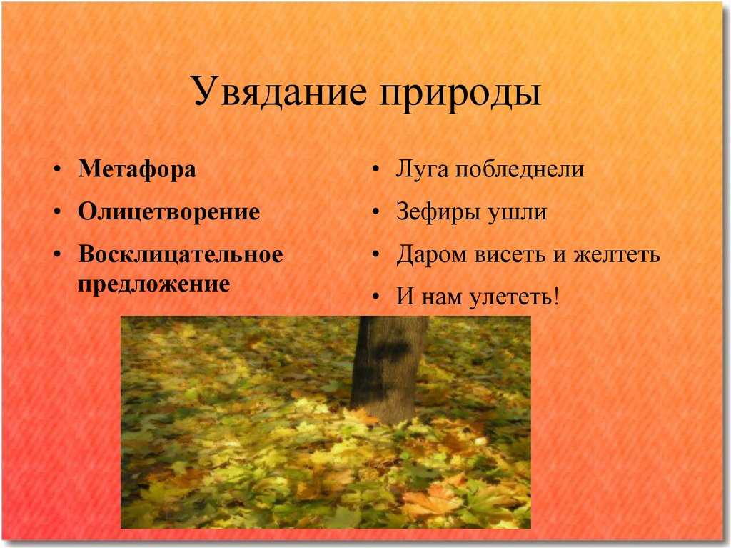 Осенние рисунки карандашом: букет, лес, листья, пейзаж, листопад поэтапно для детей