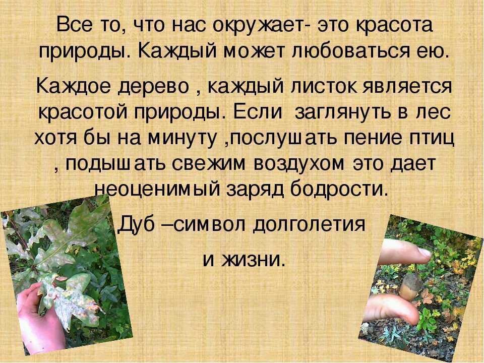 Тютчев о русском языке. иван тургенев — русский язык (стихотворение в прозе): стих. основной образ миниатюры
