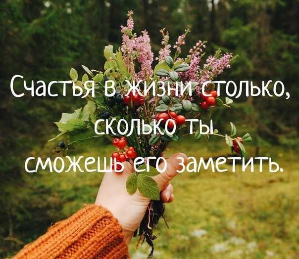 Что значит любить жизнь - voprospoisk.ru