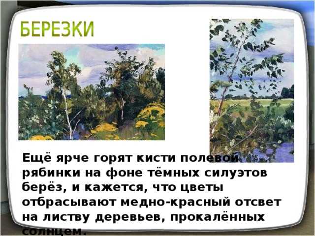 Сочинение цветущий луг для 3 класса