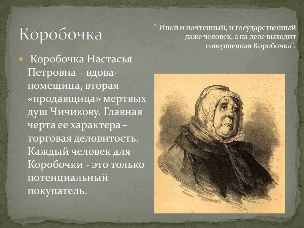 Характеристика коробочки (школьникам и студентам) - знания!