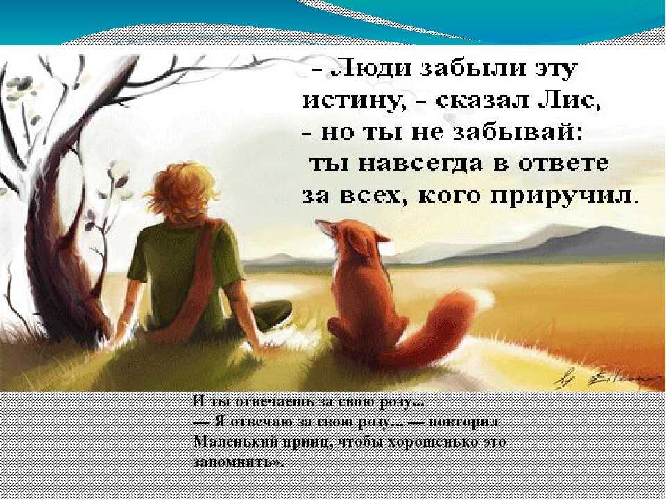 Сочинения «мы в ответе за тех, кого приручили»