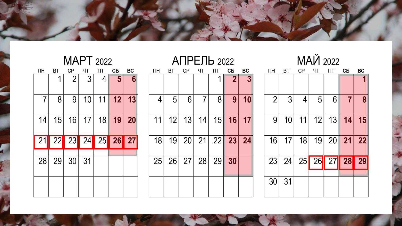 Как отдыхают школьники в 2022/2023 учебном году