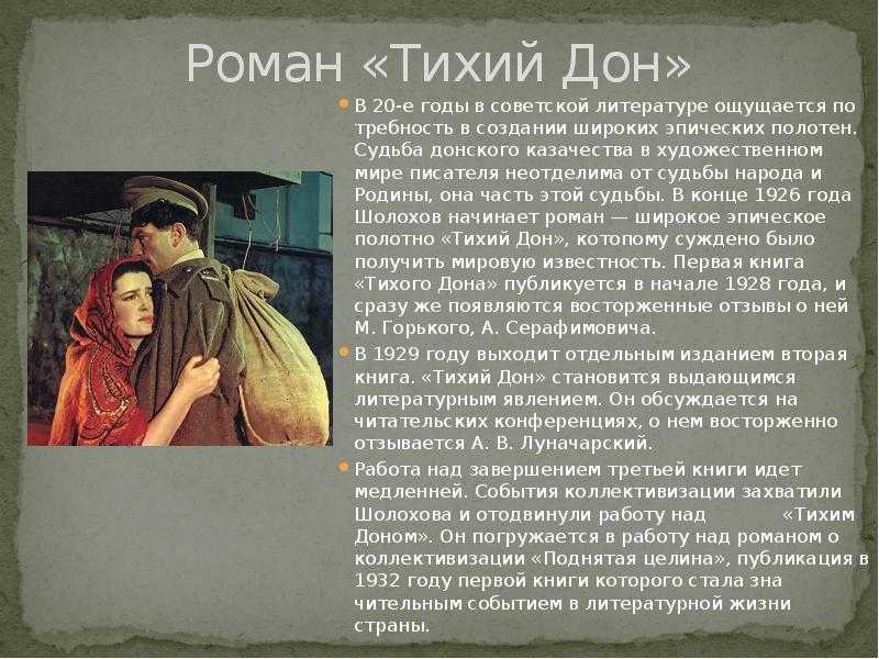 Сочинение по произведению тихий дон шолохова