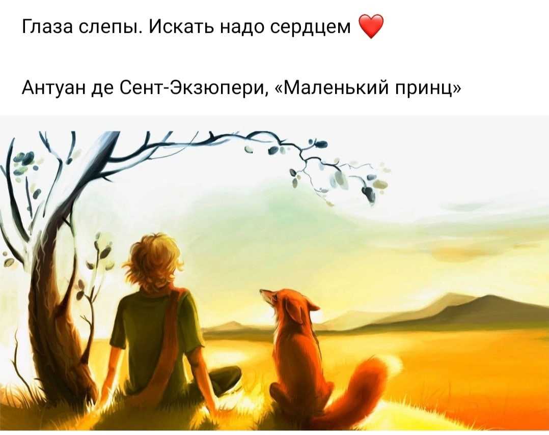 Мы в ответе за тех, кого приручили: сочинение огэ