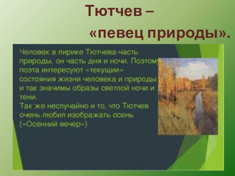 Презентация к уроку литературы. лирика ф. и. тютчева (10 класс)  доклад, проект