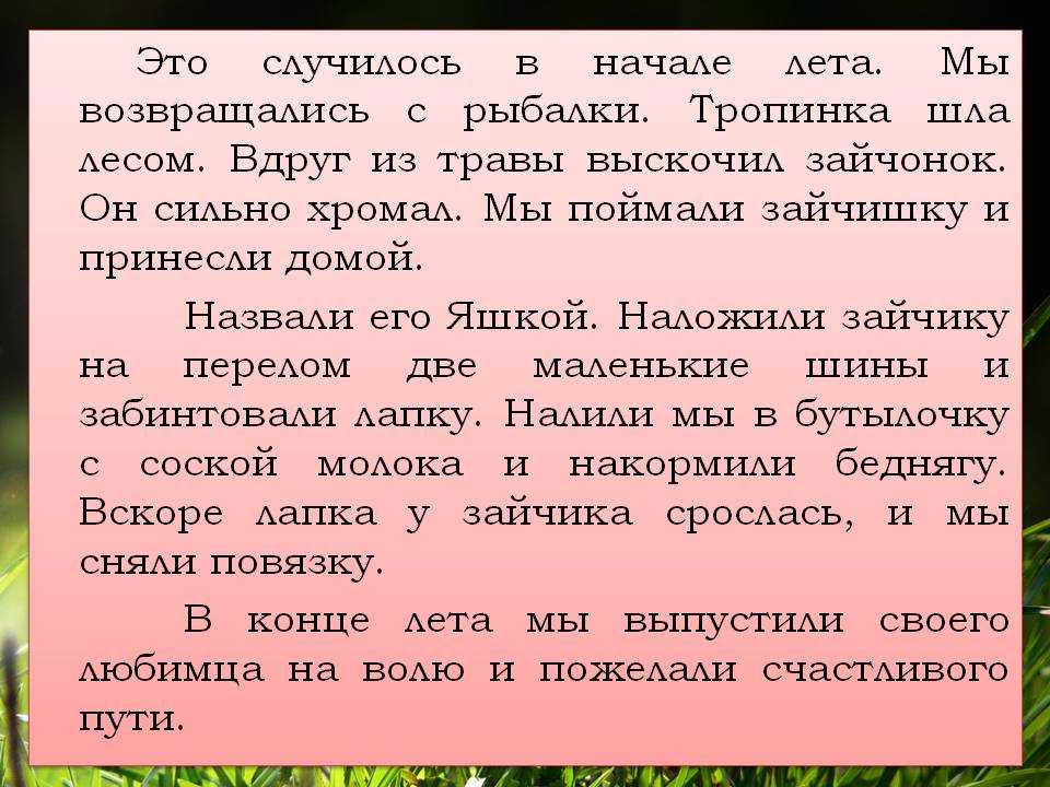 Рассказ по воображению от лица животного. ﻿