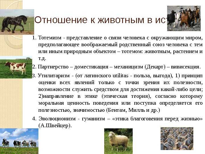 Люди и животные неразрывно связаны между собой Невозможно даже представить каким было бы существование человека без этих милых существ Еще в древние времена люди смогли приручить зверей