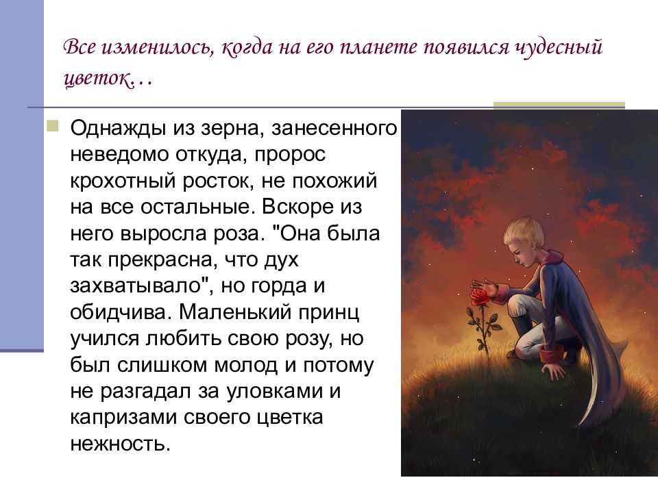 Смысл произведения маленький принц