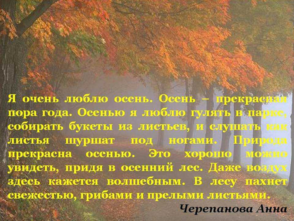 Сочинение на тему лес осенью (осенний лес)