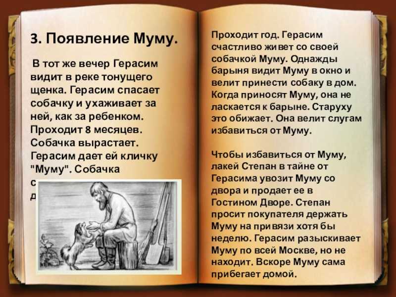 Образ и характеристика пети трофимова в пьесе "вишневый сад", описание - arthodynka.ru