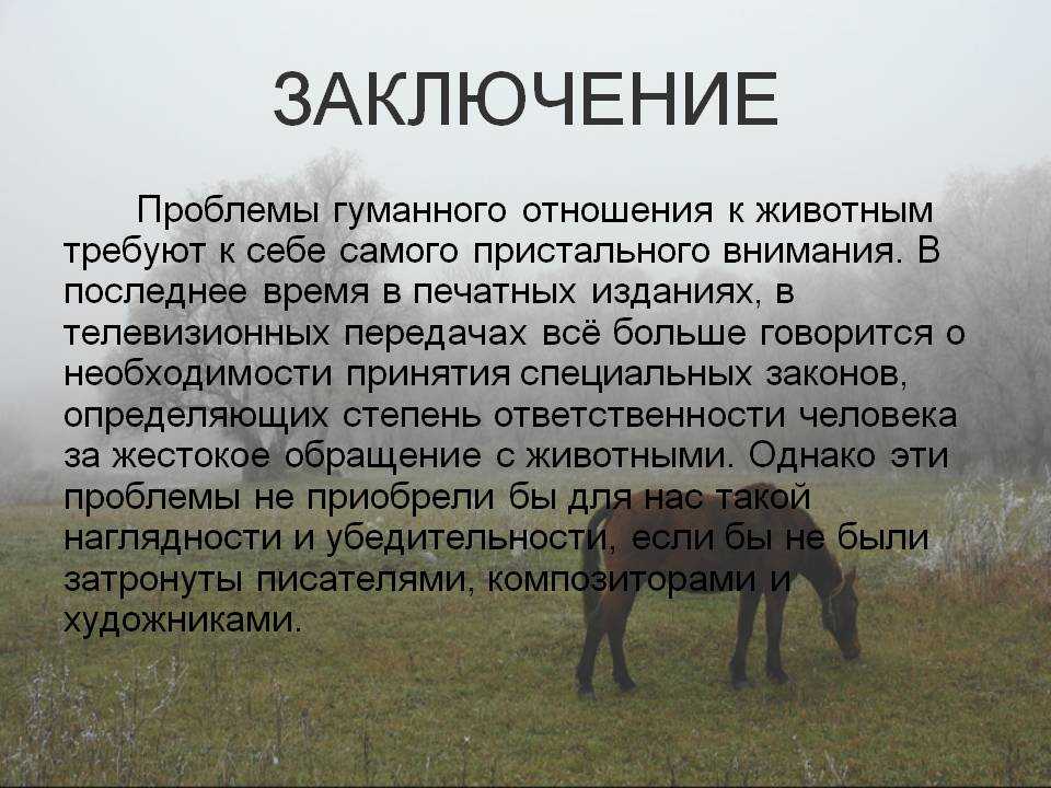 Урок 1: человек как существо - 100urokov.ru