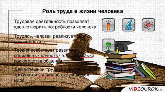 Традиции и ценности семьи курагиных. семья курагиных (егэ по литературе)