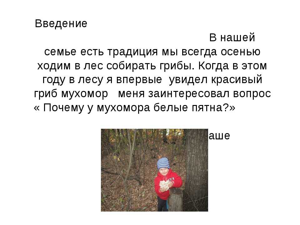«как я однажды ходил за грибами»: 8 сочинений для 5 класса 2024 года