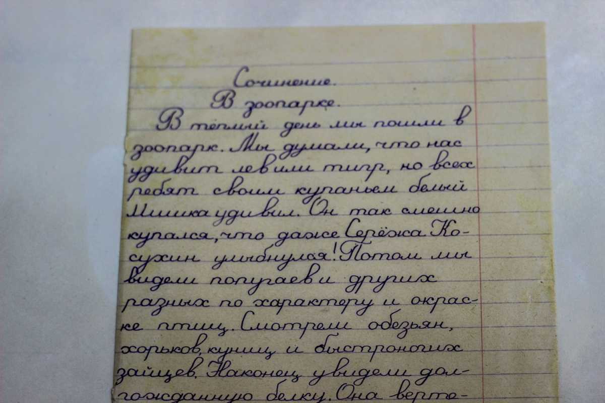 Сочинение «поход в зоопарк»