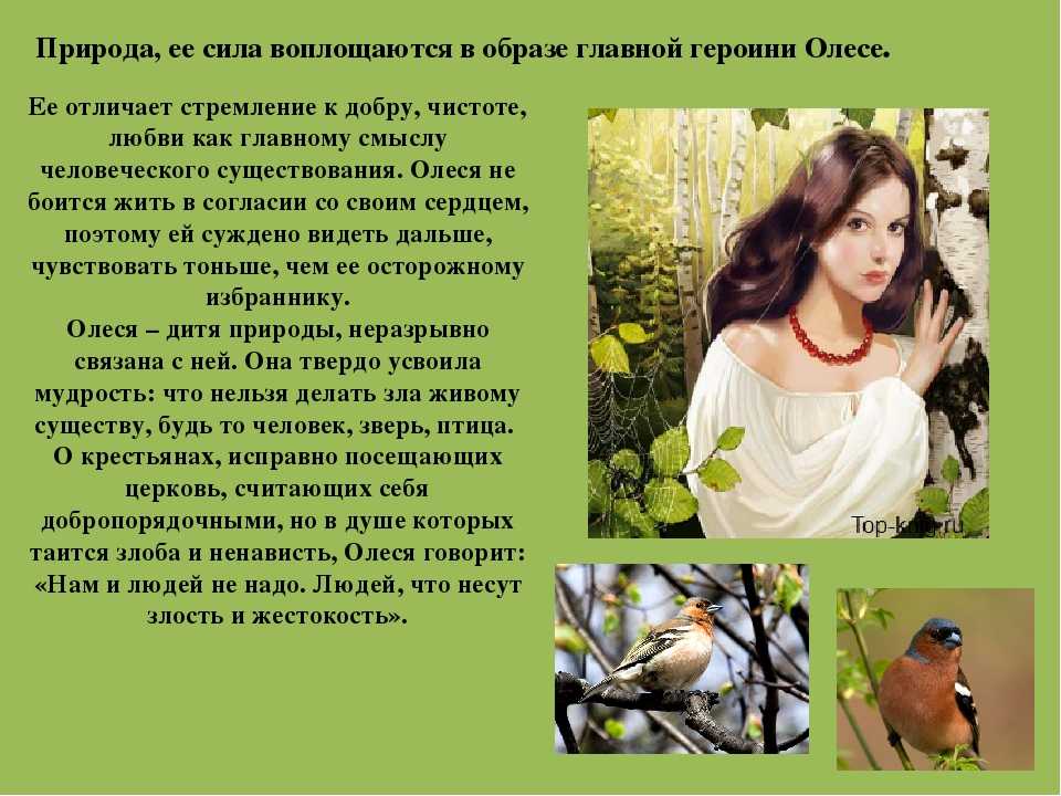 Человек и природа в повести александра ивановича куприна «олеся» ️ роль пейзажа в произведении, образы и характеристика главных героев, жанр