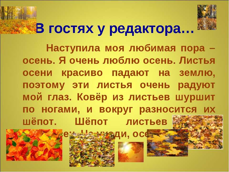 Сочинение на тему: моё любимое время года (5 вариантов и 4 похожих топика)