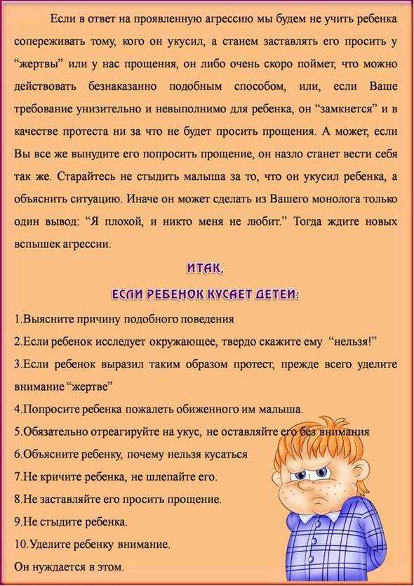 Примеры 5 лучших сочинений на тему «школа моей мечты»