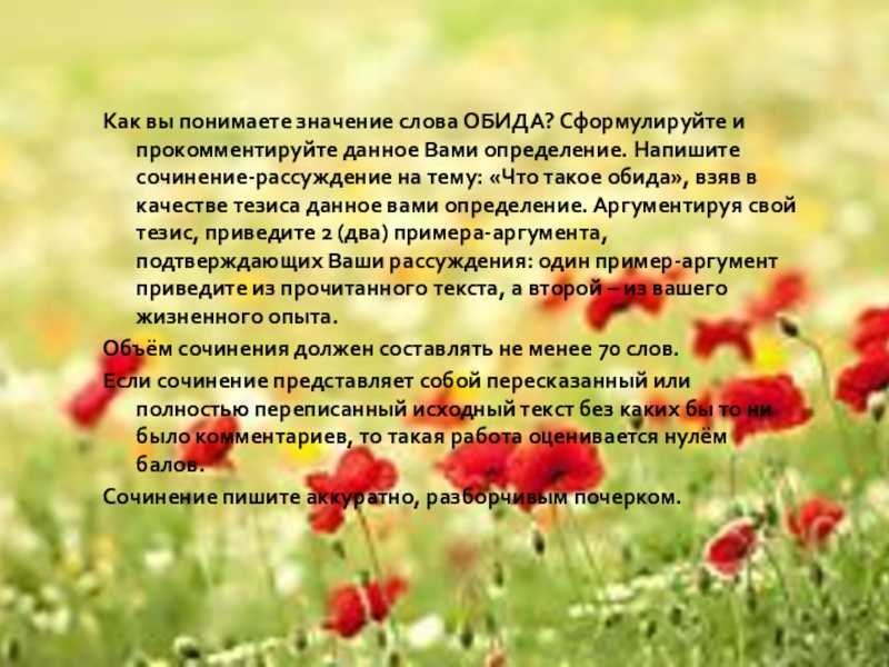 Сочинение на тему честь 11 класс