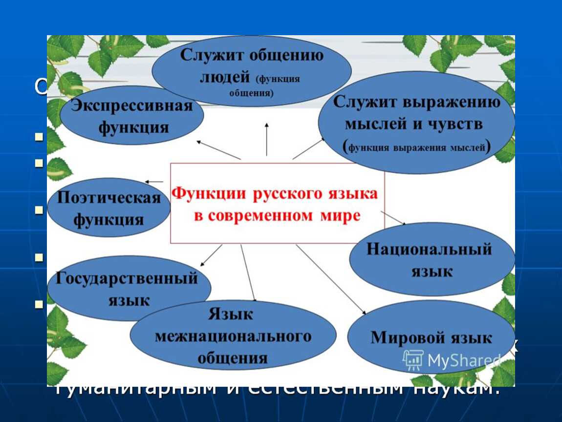 Почему русский язык - лучший язык мира: анализ его превосходства над другими языками