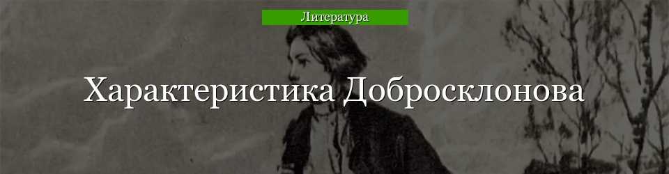 Сочинение гриша добросклонов (образ и характеристика) в поэме кому на руси жить хорошо?