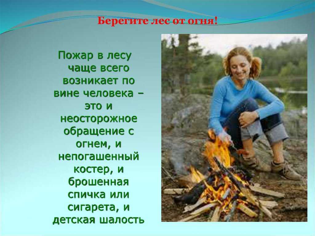 Лес — это жизнь! — реальность