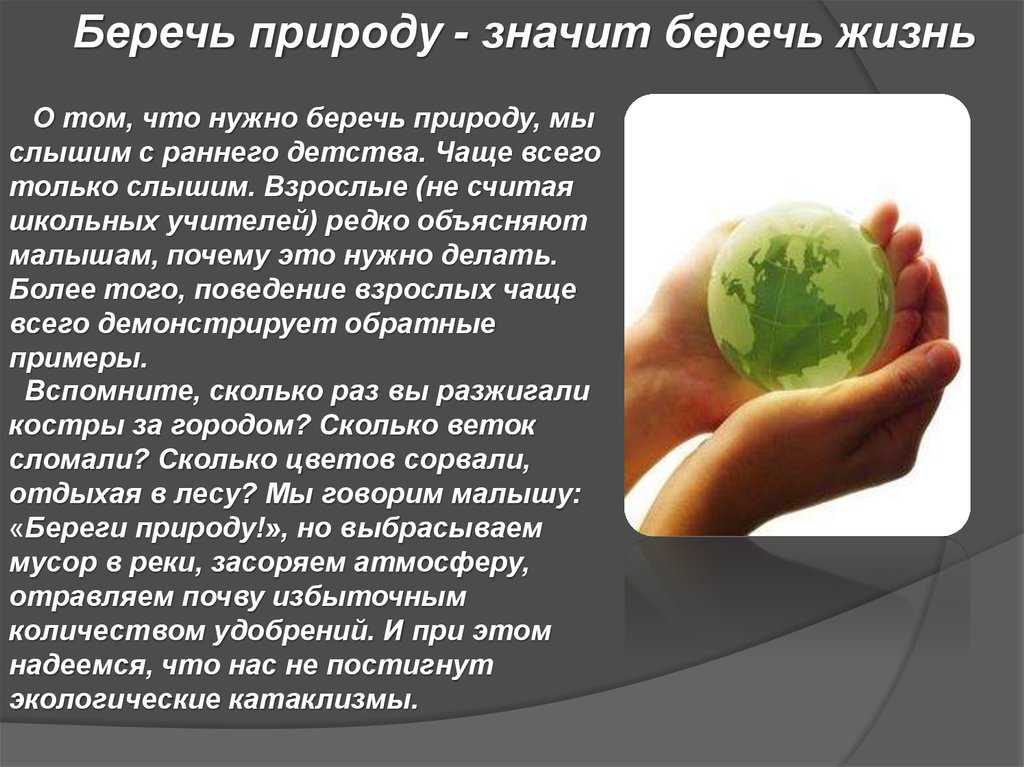 Отдых моей мечты сочинение
