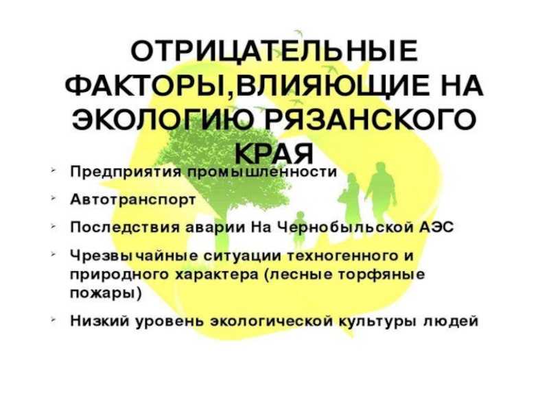 Эссе по экологии: как писать + пример