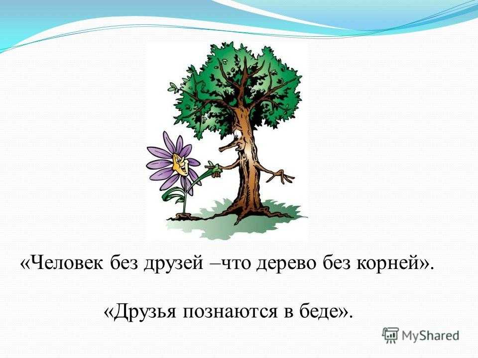 Современная семья: суть и особенности в эссе