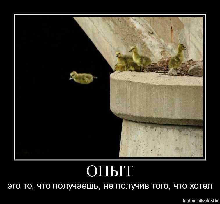 Цитаты про ошибки