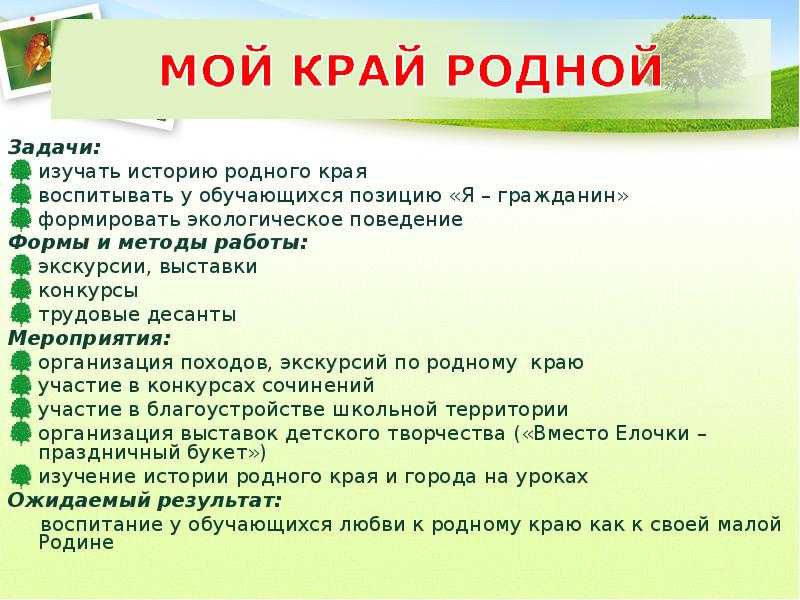 Природа родного края: новые сочинения
