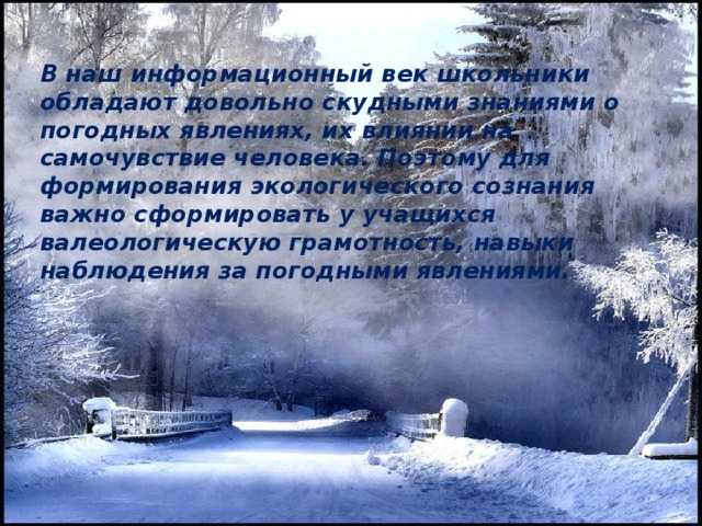"у природы нет плохой погоды": топ-7 лучших сочинений 2023 года!