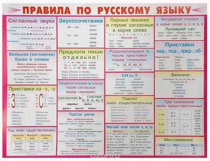 Презентация на тему: "17 сентября имя существительное. кластер « имя существительное » множественное единственное средний женский мужской собственные нарицательные неодушевлённые.". скачать бесплатно и без регистрации.