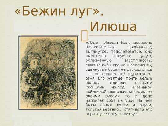 Поведение и характер мальчиков бежин луг. cочинение «характеристика главных героев рассказа ивана тургенева «бежин луг