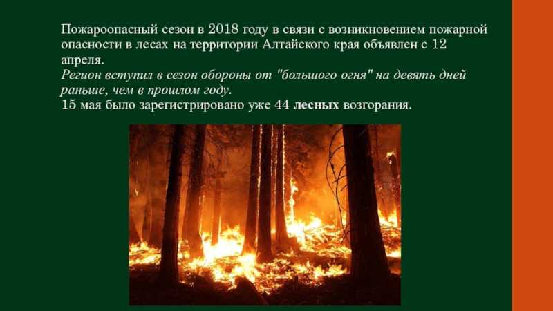 Обитатели леса