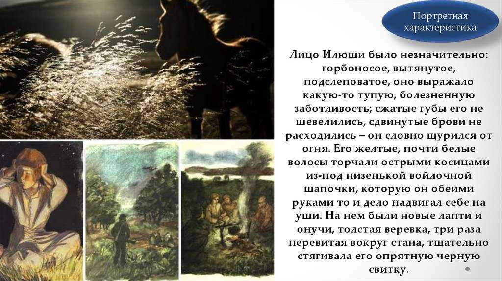О чем рассказывал илюша (какие истории рассказывал илюша) в рассказе бежин луг тургенева