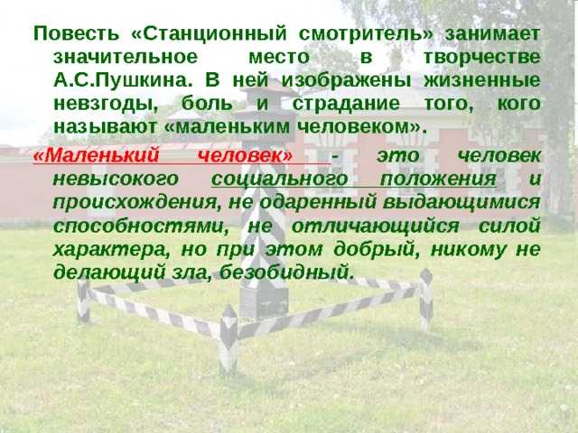 «сказка о рыбаке и рыбке» пушкина: загадал бы сразу новую старуху!