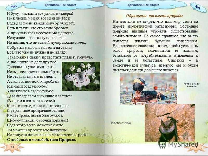 Роберт рождественский - 210 шагов: читать стих, текст стихотворения полностью - классика на рустих