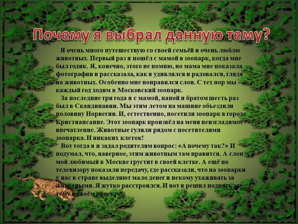 Напишите сочинение на тему мы в зоопарке 4 класс