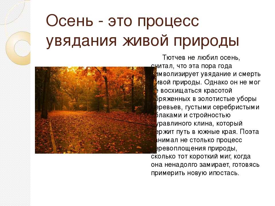 Сочинение осенний вечер (2 варианта)