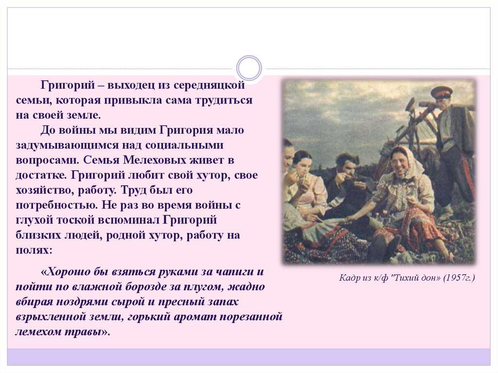 Картины жизни донских казаков в "тихом доне" - сочинение на тему романа м.а. шолохова