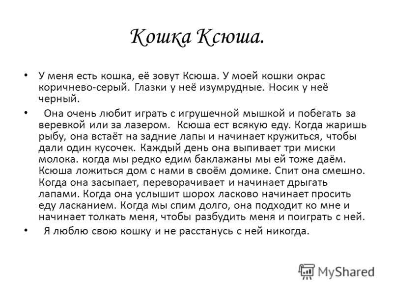 Сочинение мой четвероногий друг (3, 4, 5 класс)