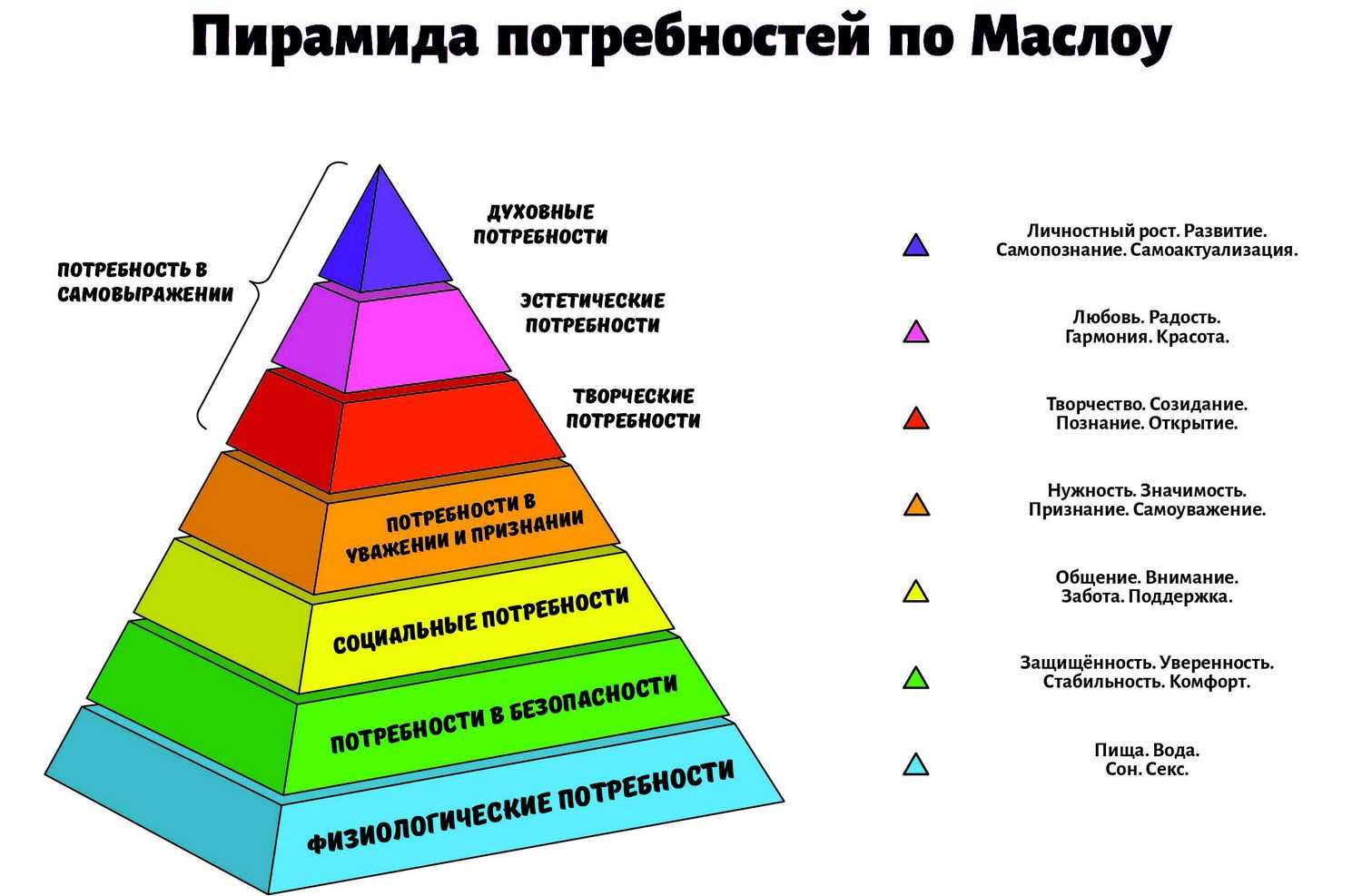 «язык мой друг мой»: 8 сочинений 2024 года