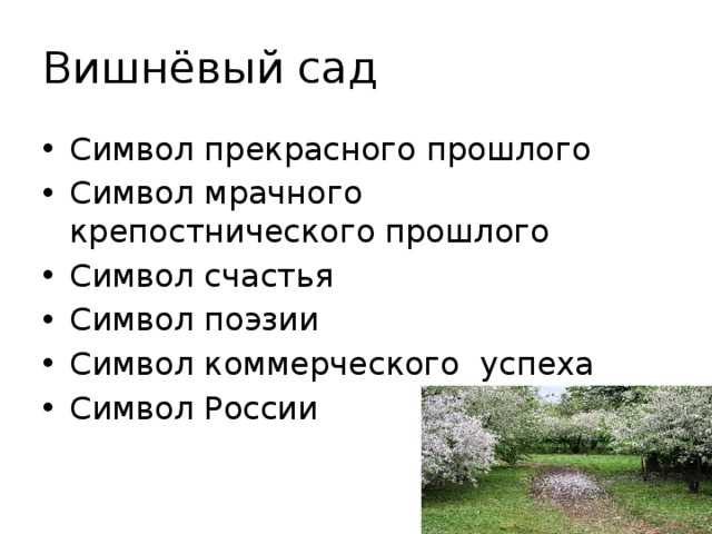 Отношение героев к вишневому саду: анализ пьесы «вишневый сад» а. п. чехова