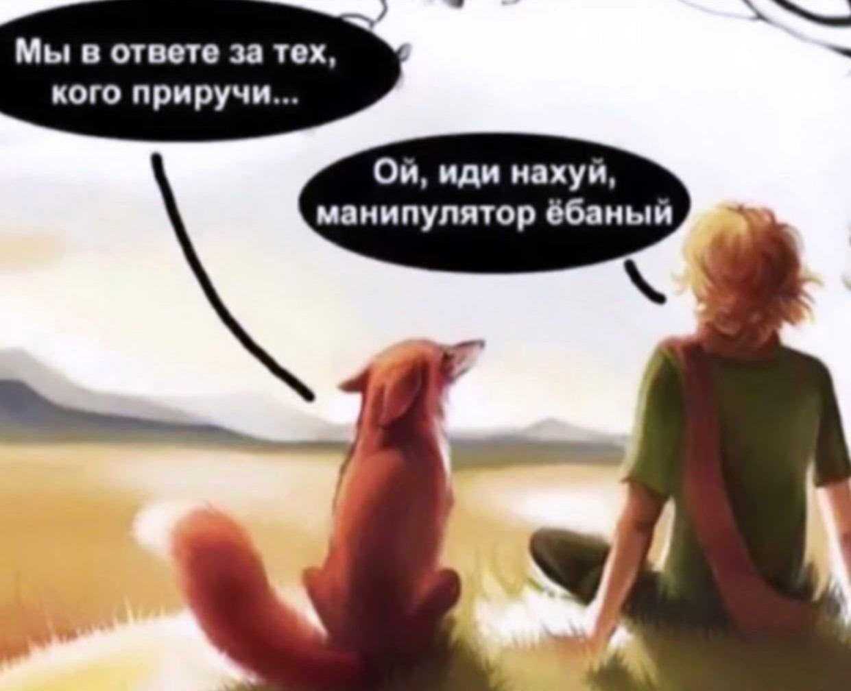 Ответственность за приручение: что означает цитата о том, что мы в ответе за тех, кого приручили