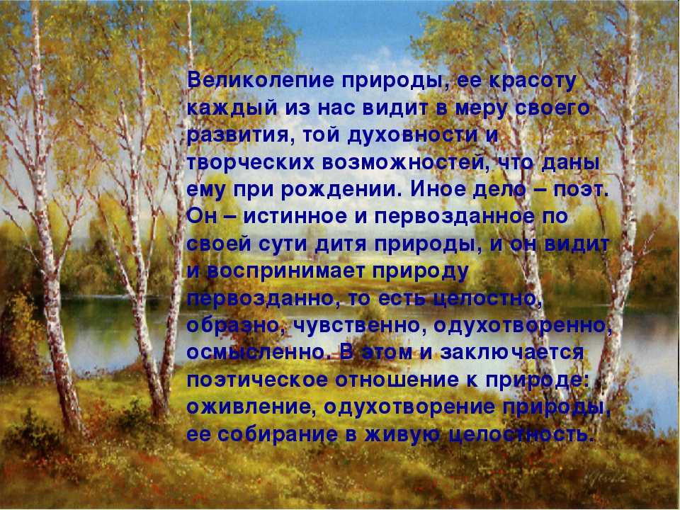 Самое-самое в эрмитаже