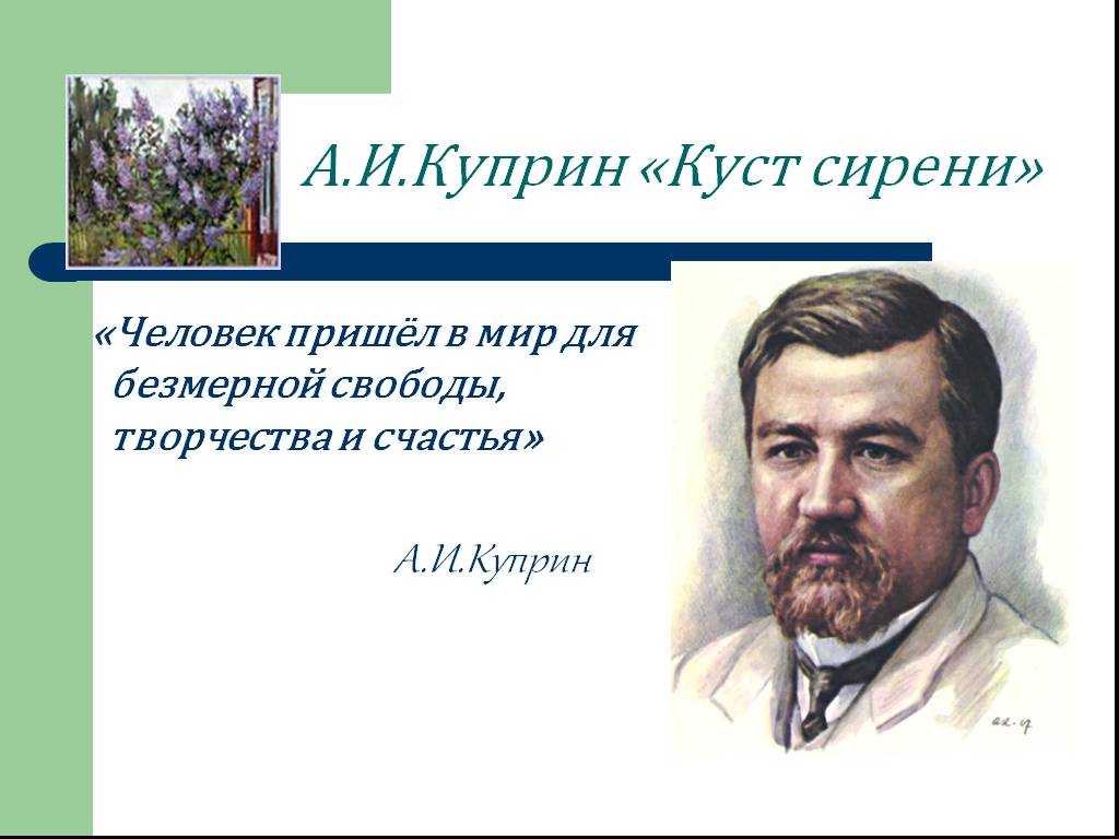 Сочинение счастлива ли вера алмазова (рассуждение по рассказу куприна куст сирени). сочинение по рассказу куприна «куст сирени» на тему «счастлива ли вера алмазова? в чем счастье веры алмазовой