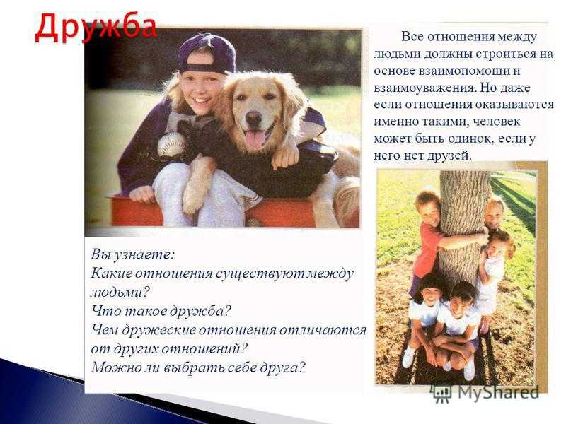 «взаимоотношения людей»: 8 сочинений для егэ 2024 года