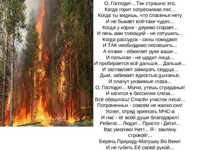 Лес